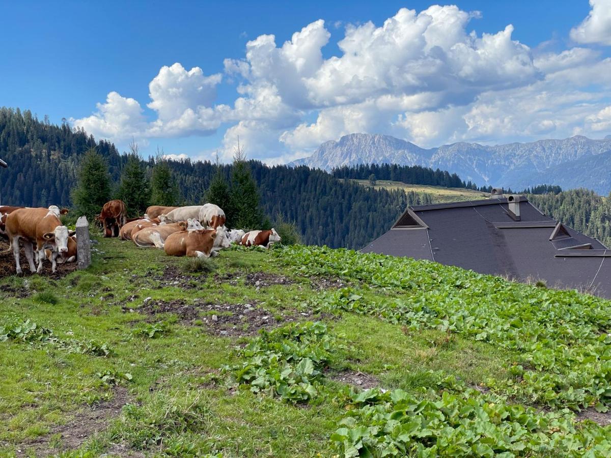 The Mountain Home Hermagor-Pressegger See Kültér fotó